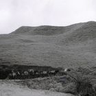 Camino al paramo