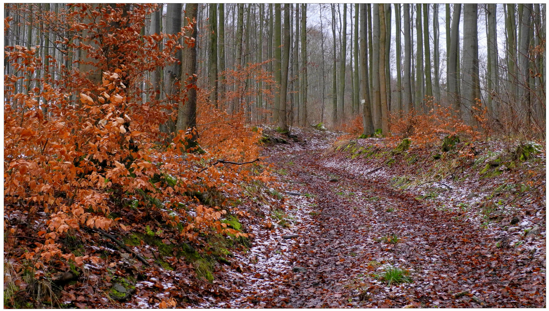 Camino al pico (Weg zum Berggipfel)