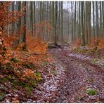 Camino al pico (Weg zum Berggipfel)