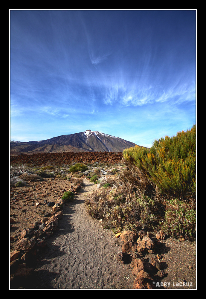 Camino al Teide