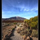 Camino al Teide