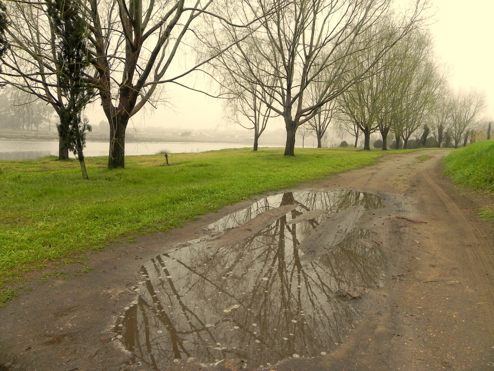 CAMINO COSTERO