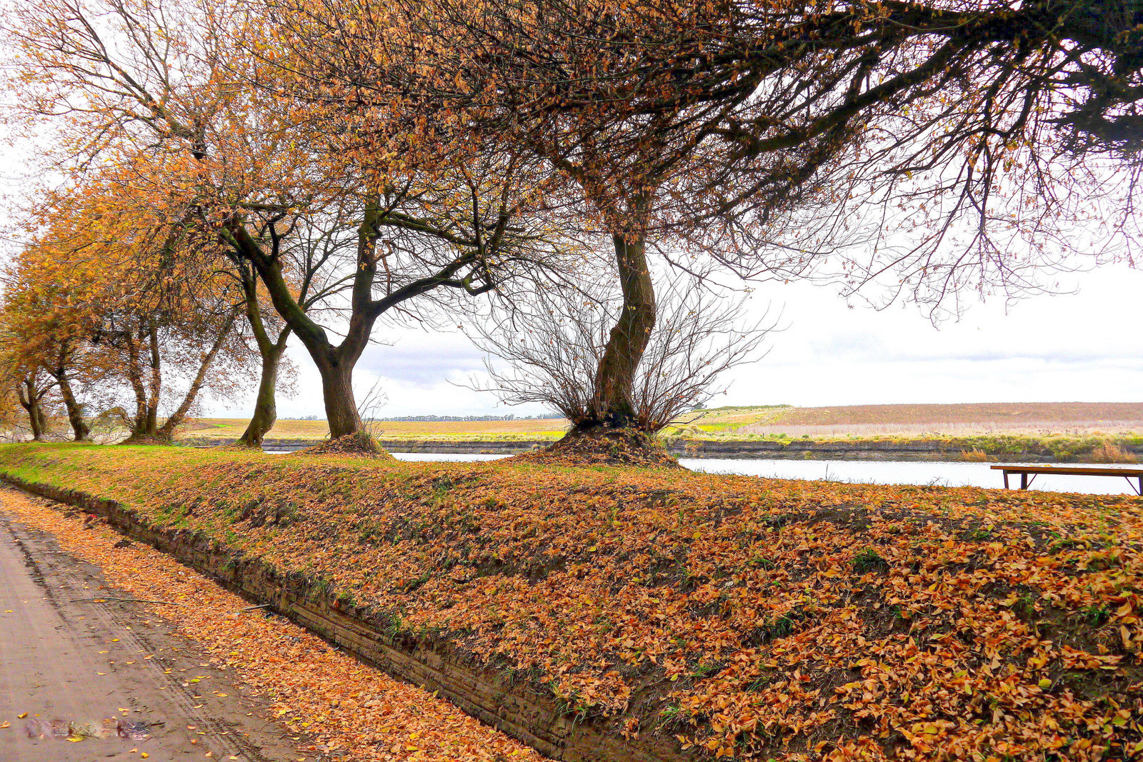 camino costero,en otoño