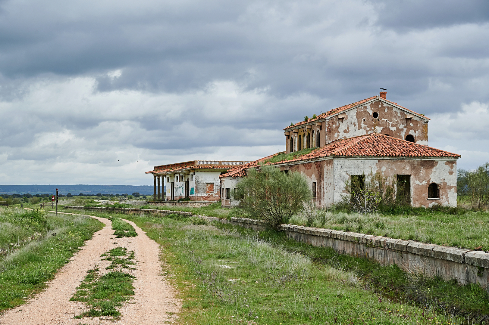 Camino de Aceite