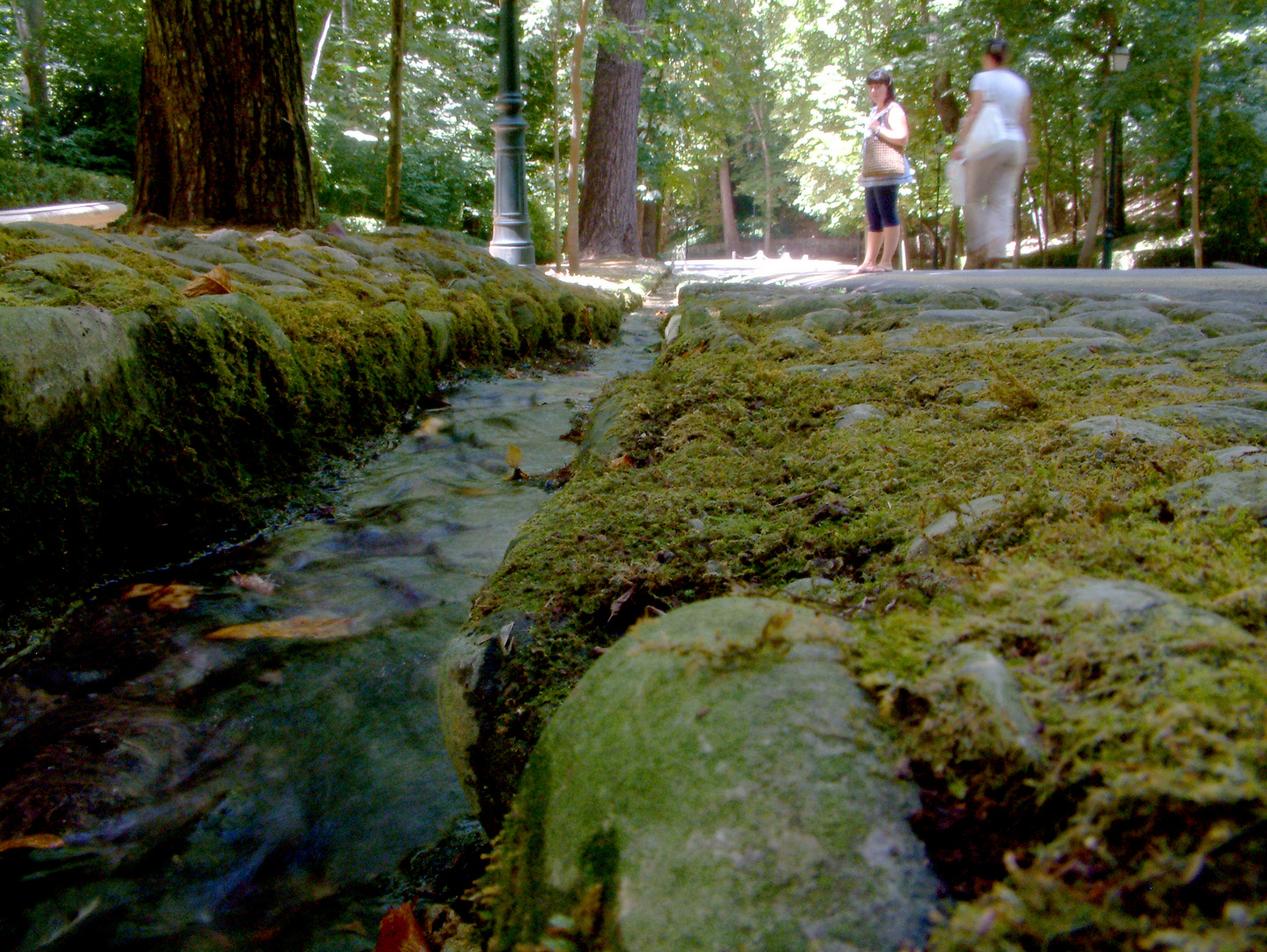 Camino de agua