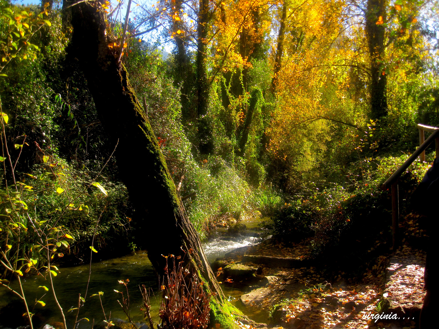 camino de Benamaoma a El Bosque por el rio majaceite