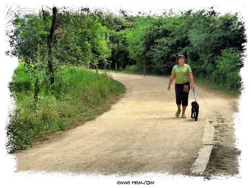 Camino de casa