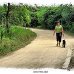 Camino de casa