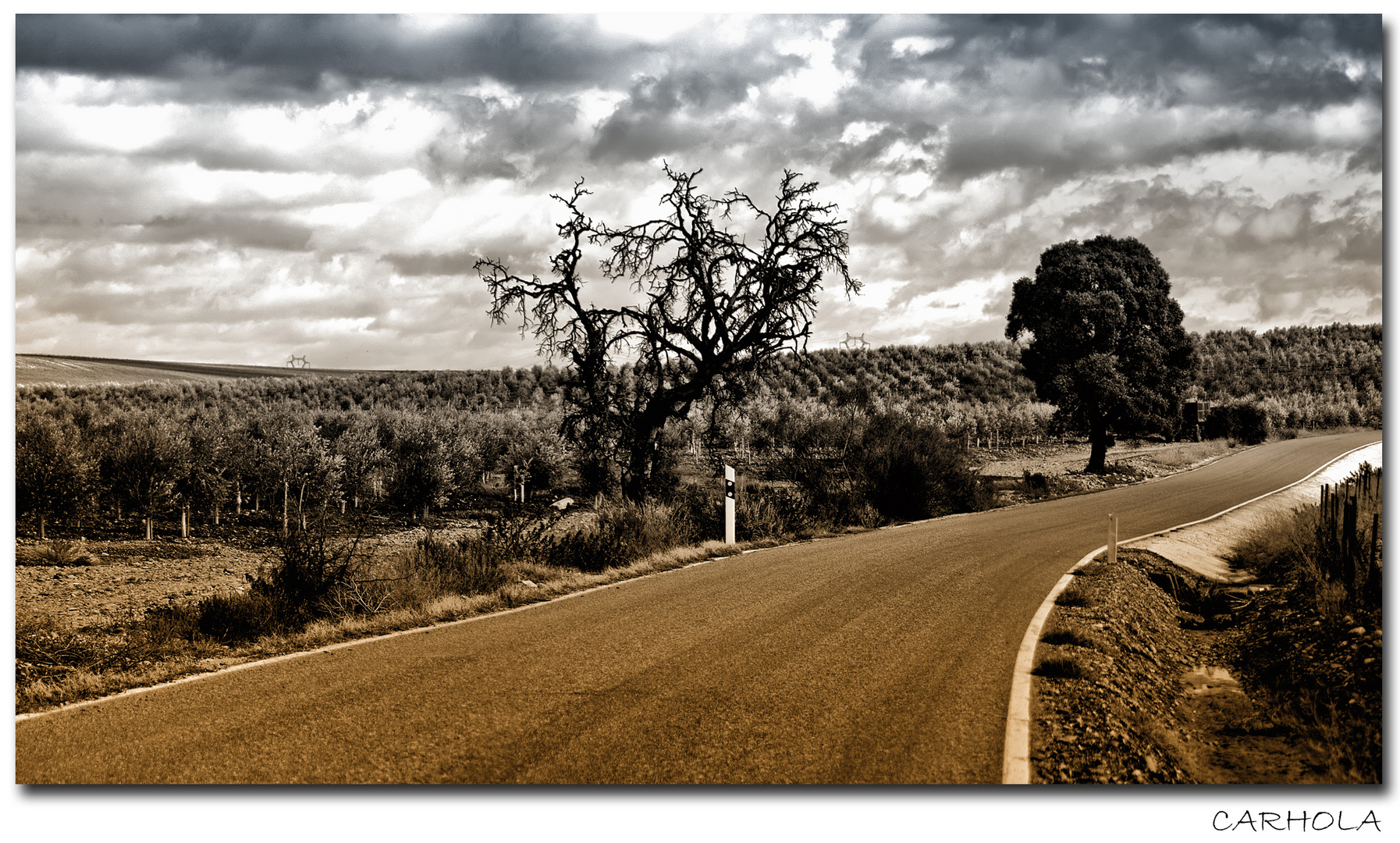 CAMINO DE GUADALCÁZAR