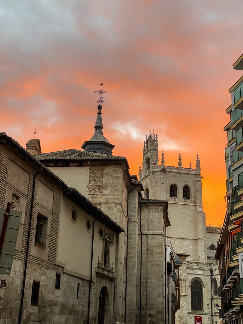 Camino de la Catedral