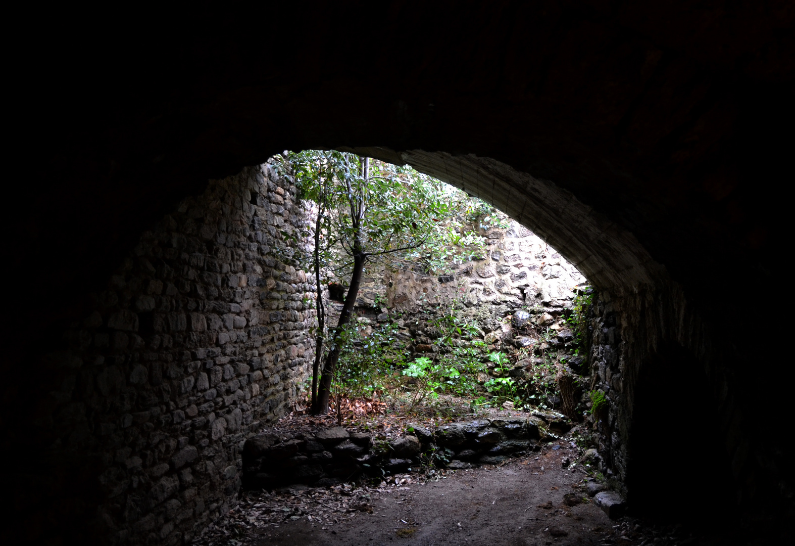 Camino de la luz