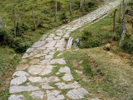 Camino de mi vereda