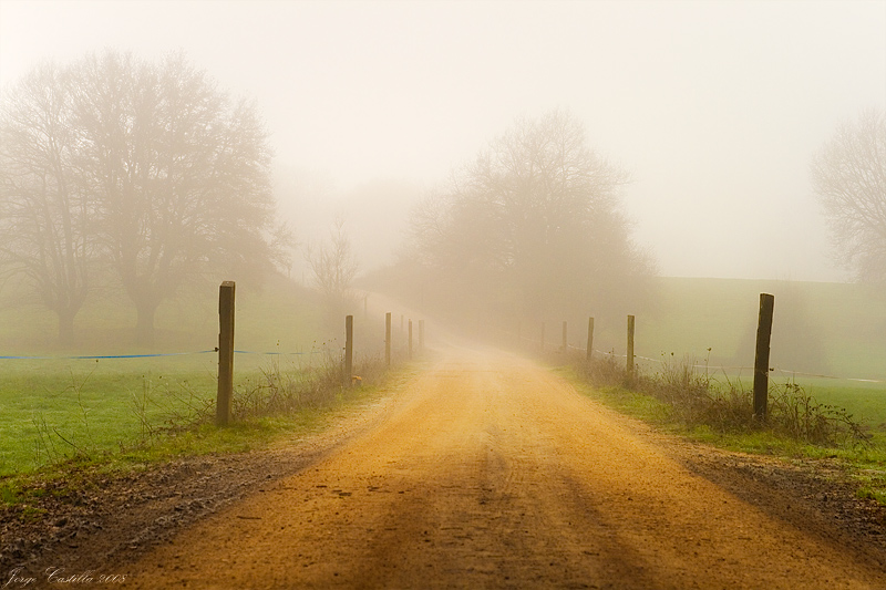 Camino de Niebla