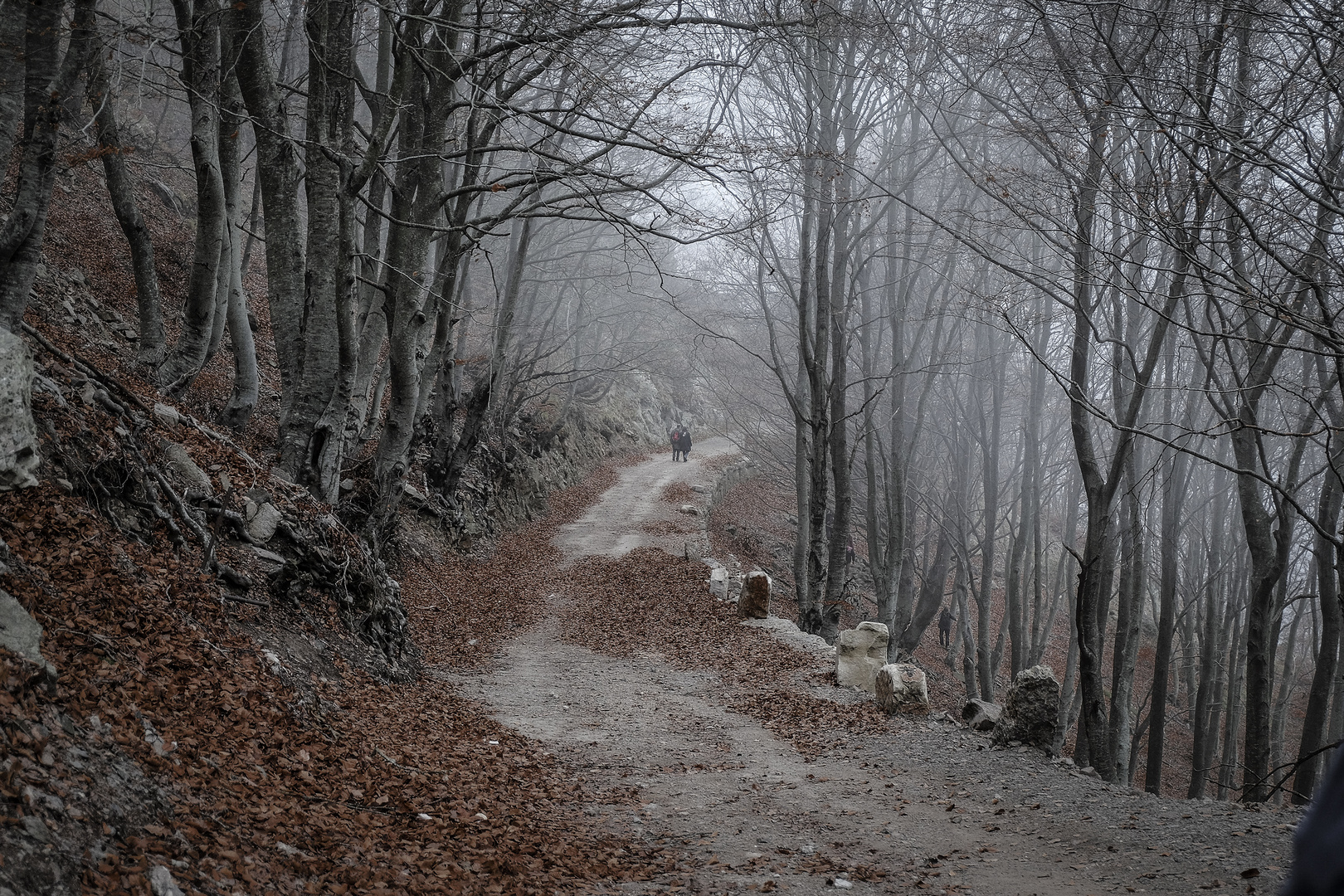 Camino de otoño