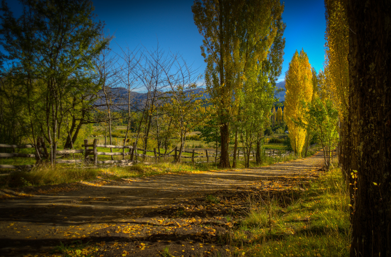 Camino de otoño