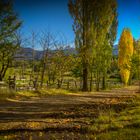 Camino de otoño