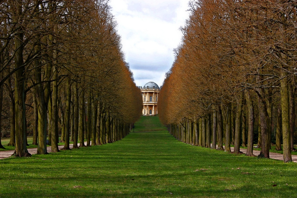 Camino de palacio