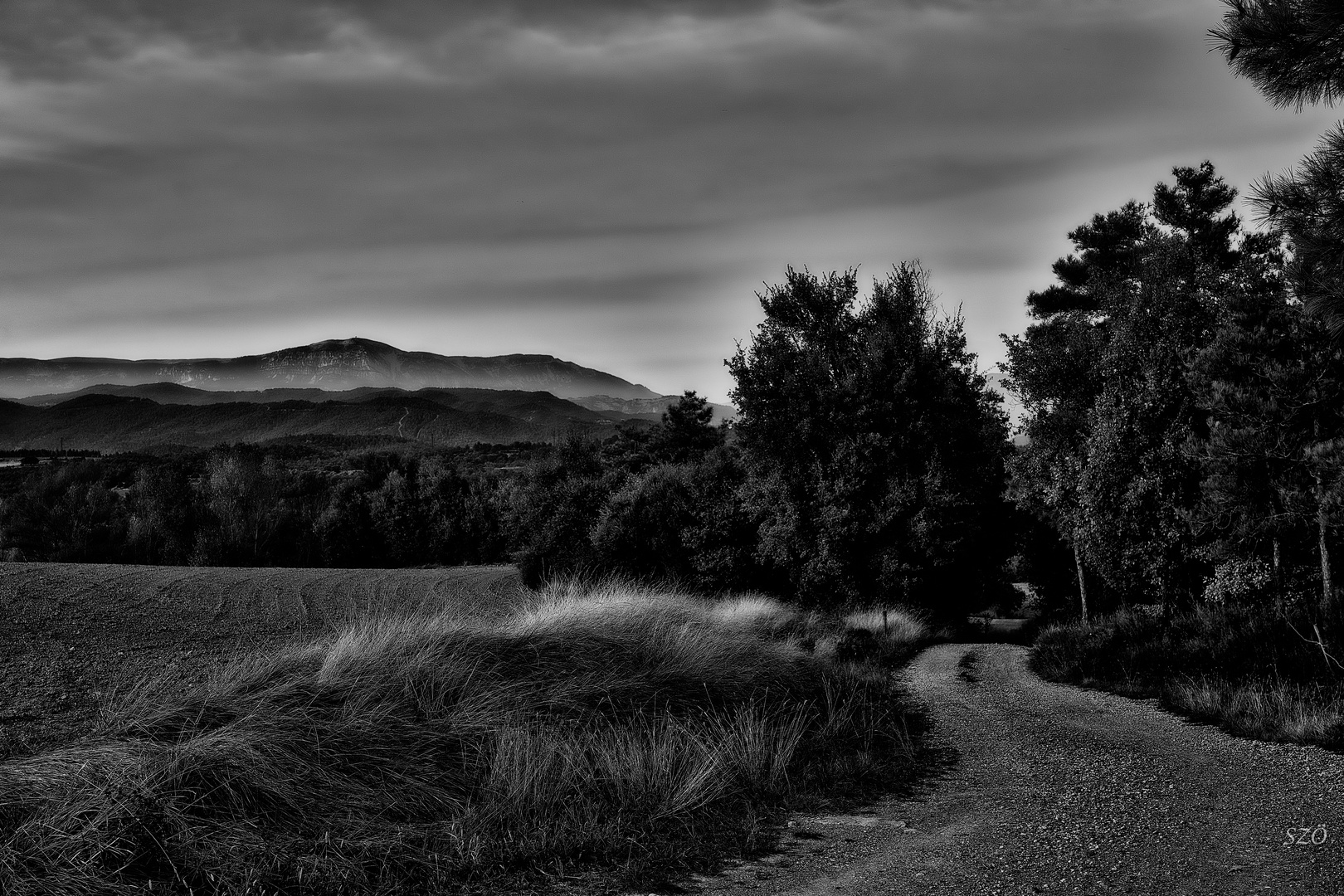 Camino de piedras