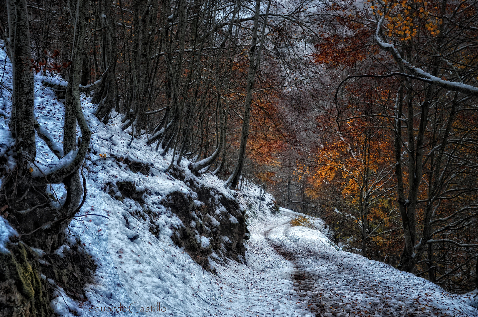 Camino de regreso