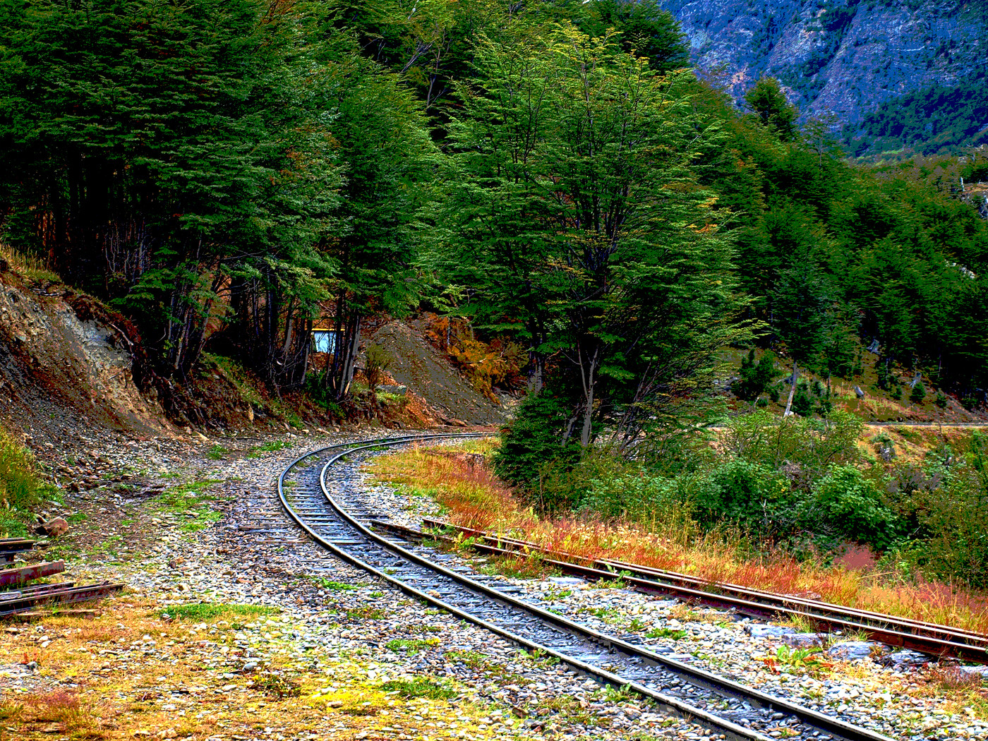 Camino de Rieles