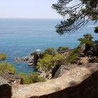  Camino de ronda LLoret de Mar 