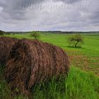 Camino de Sant Joan