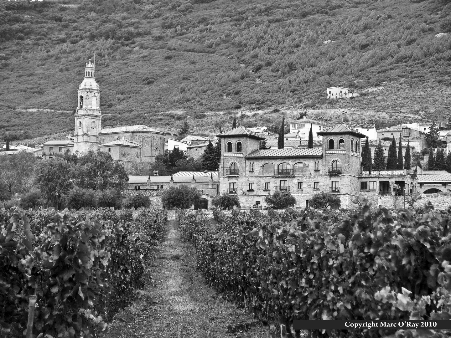 Camino de Santiago 2