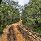 Camino de Santiago