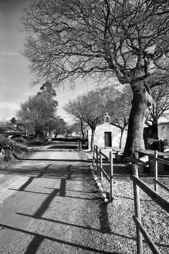 CAMINO DE SANTIAGO