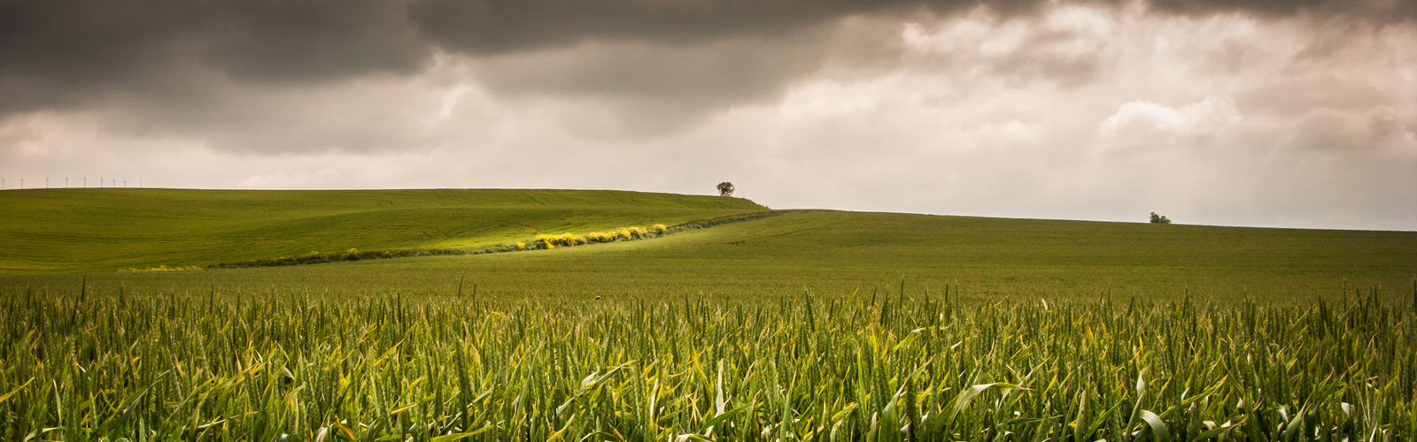 Camino de Santiago (4)