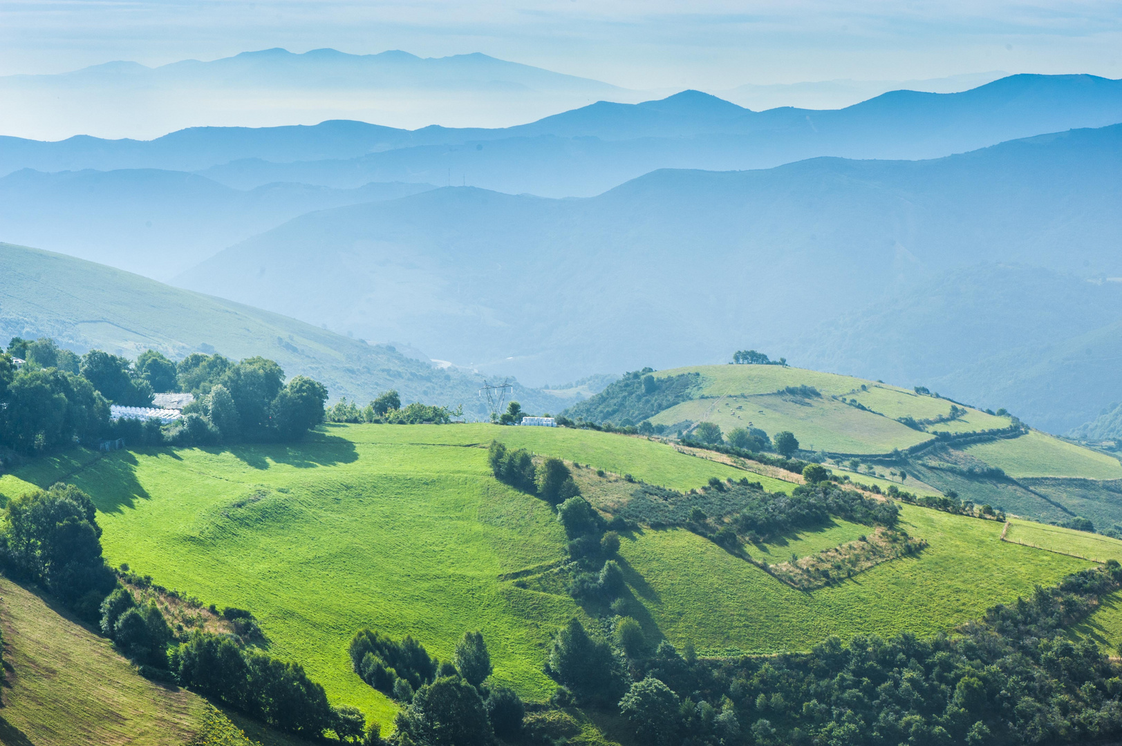 Camino de Santiago