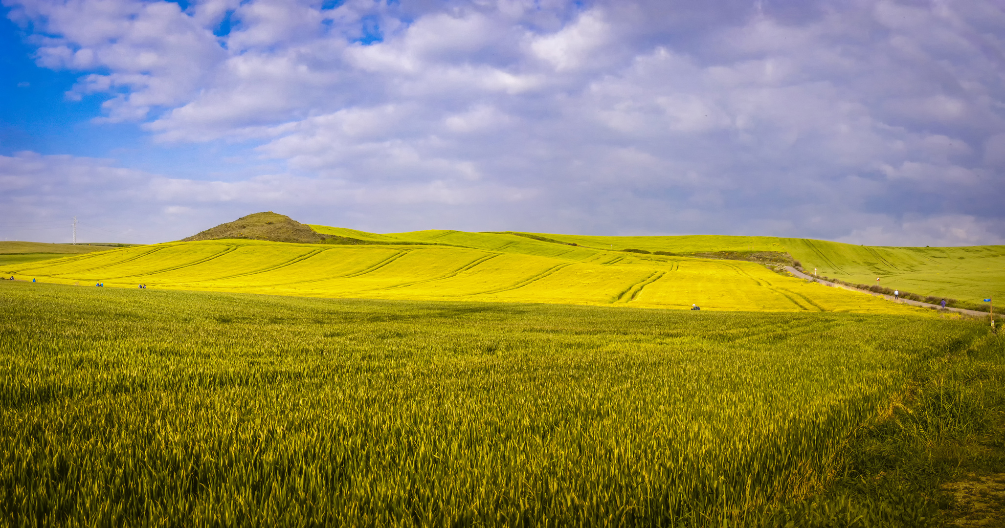 Camino de Santiago (5)