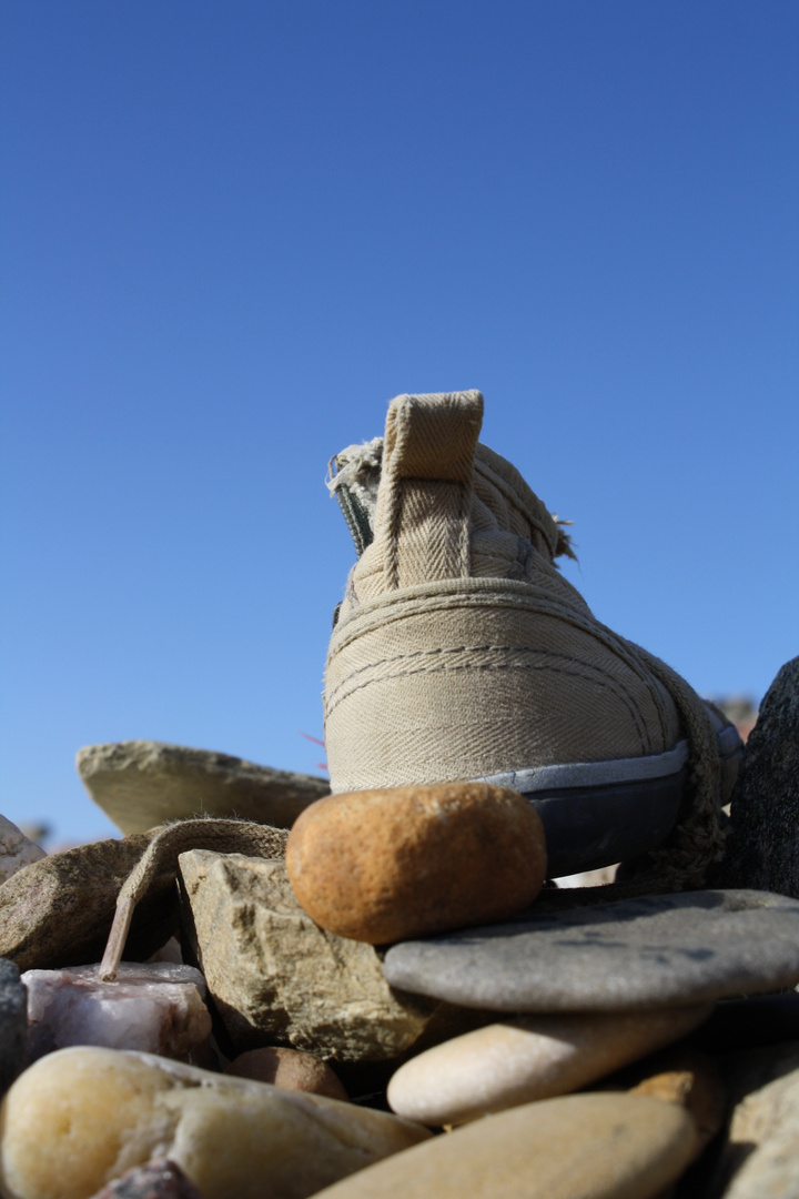 Camino de Santiago