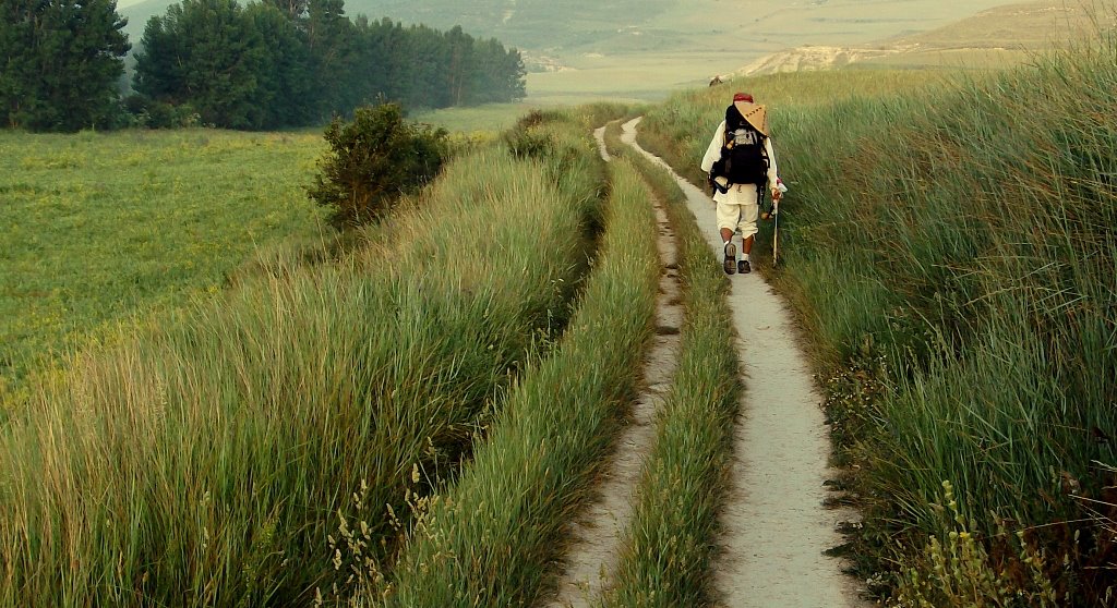 Camino de Santiago