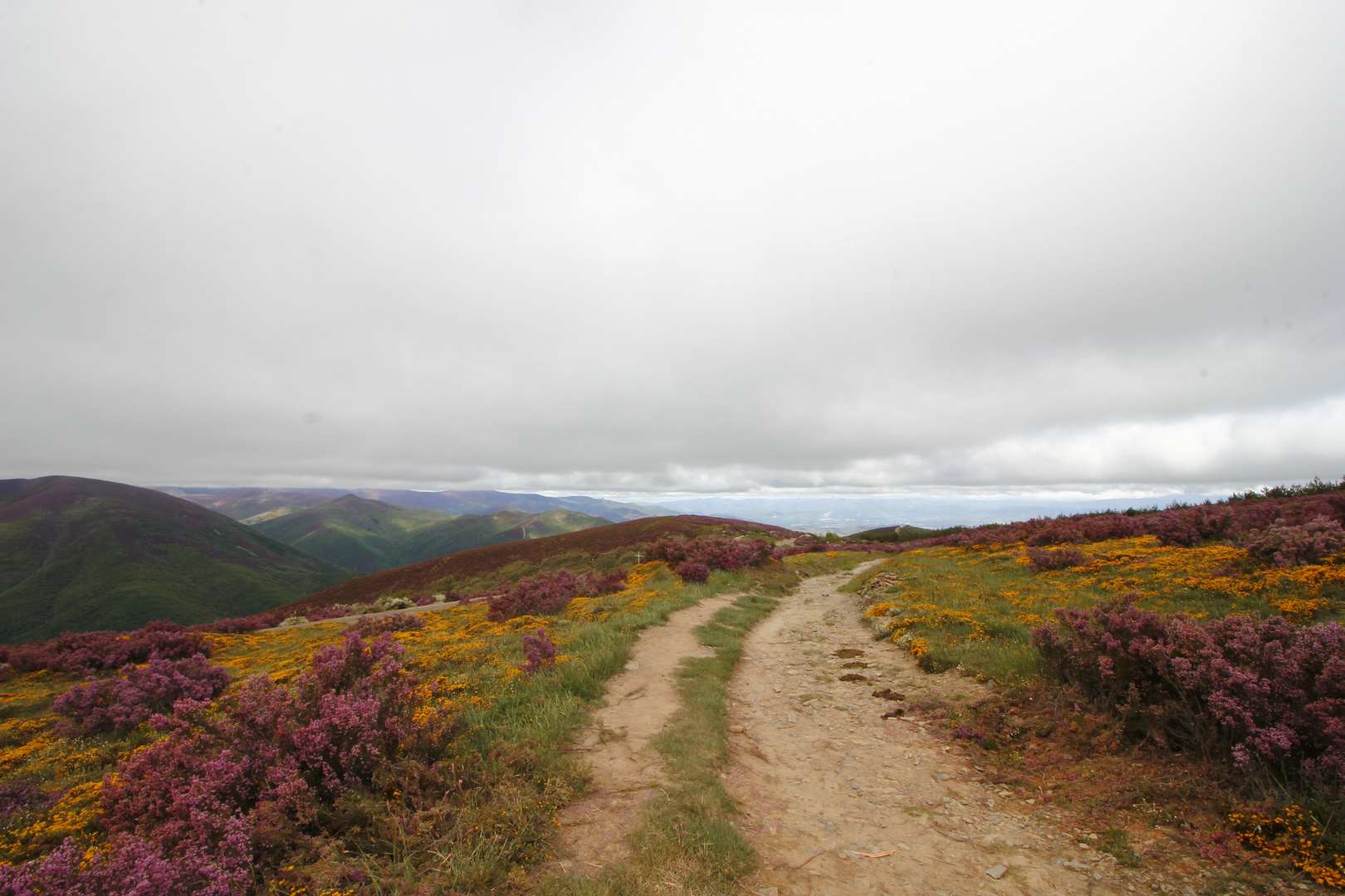 Camino de Santiago