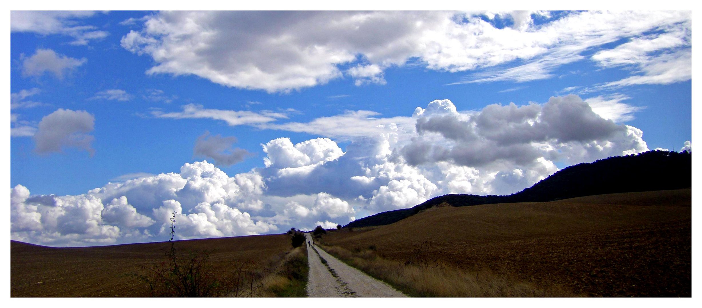 Camino de Santiago