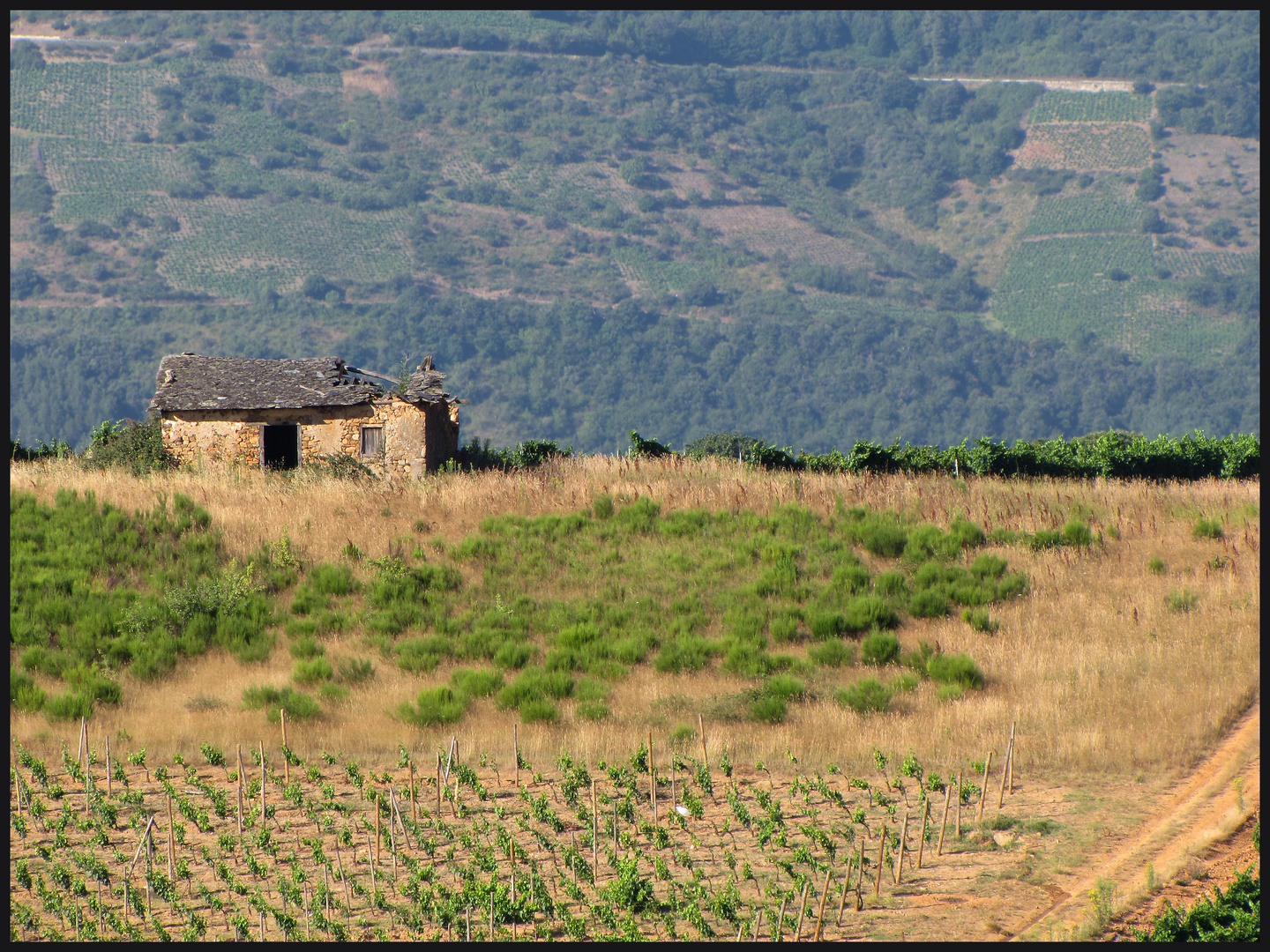 Camino de Santiago IV