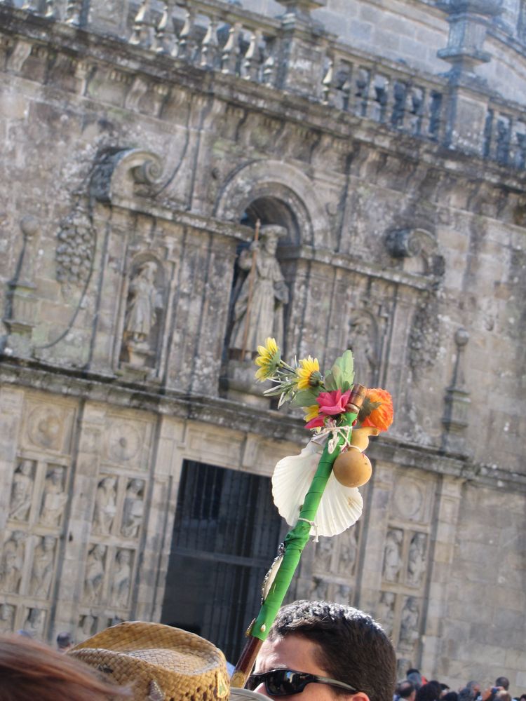 Camino de Santiago XVI