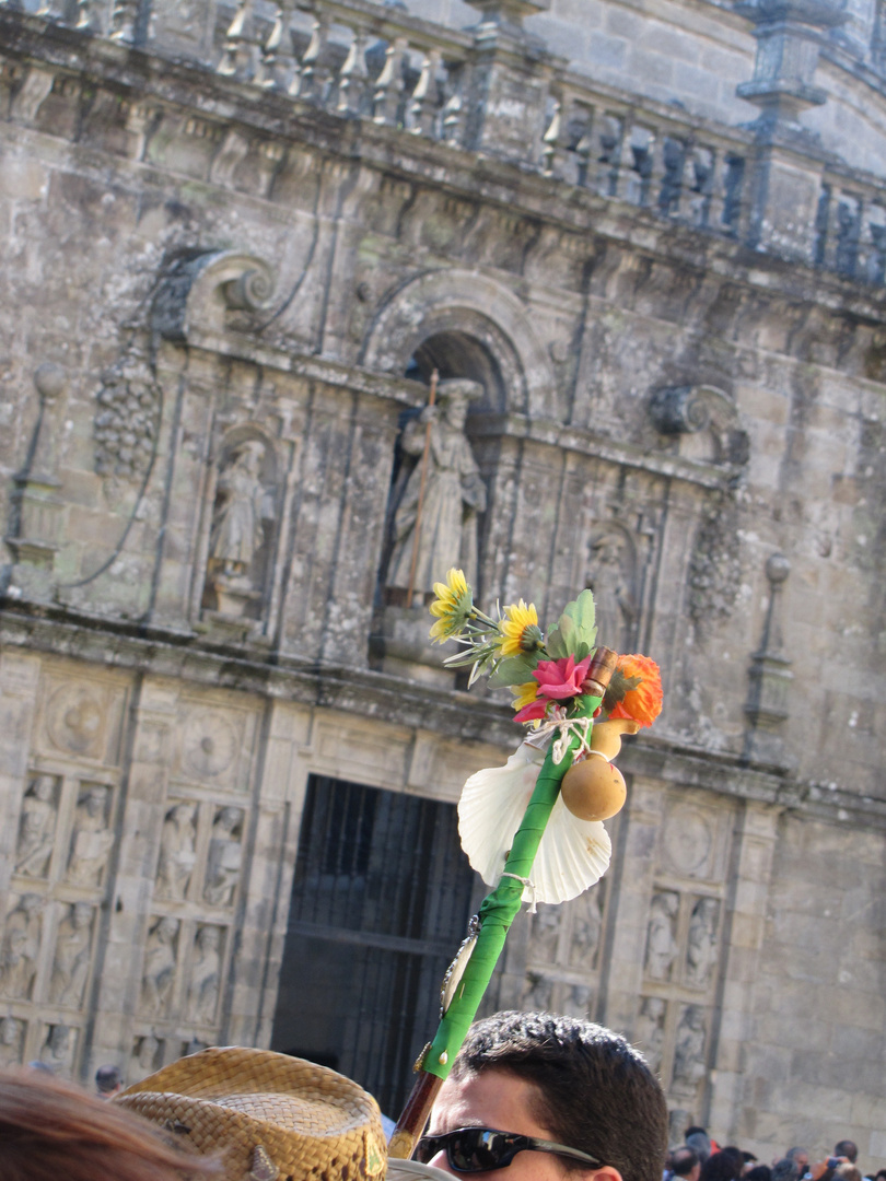 Camino de Santiago XVI