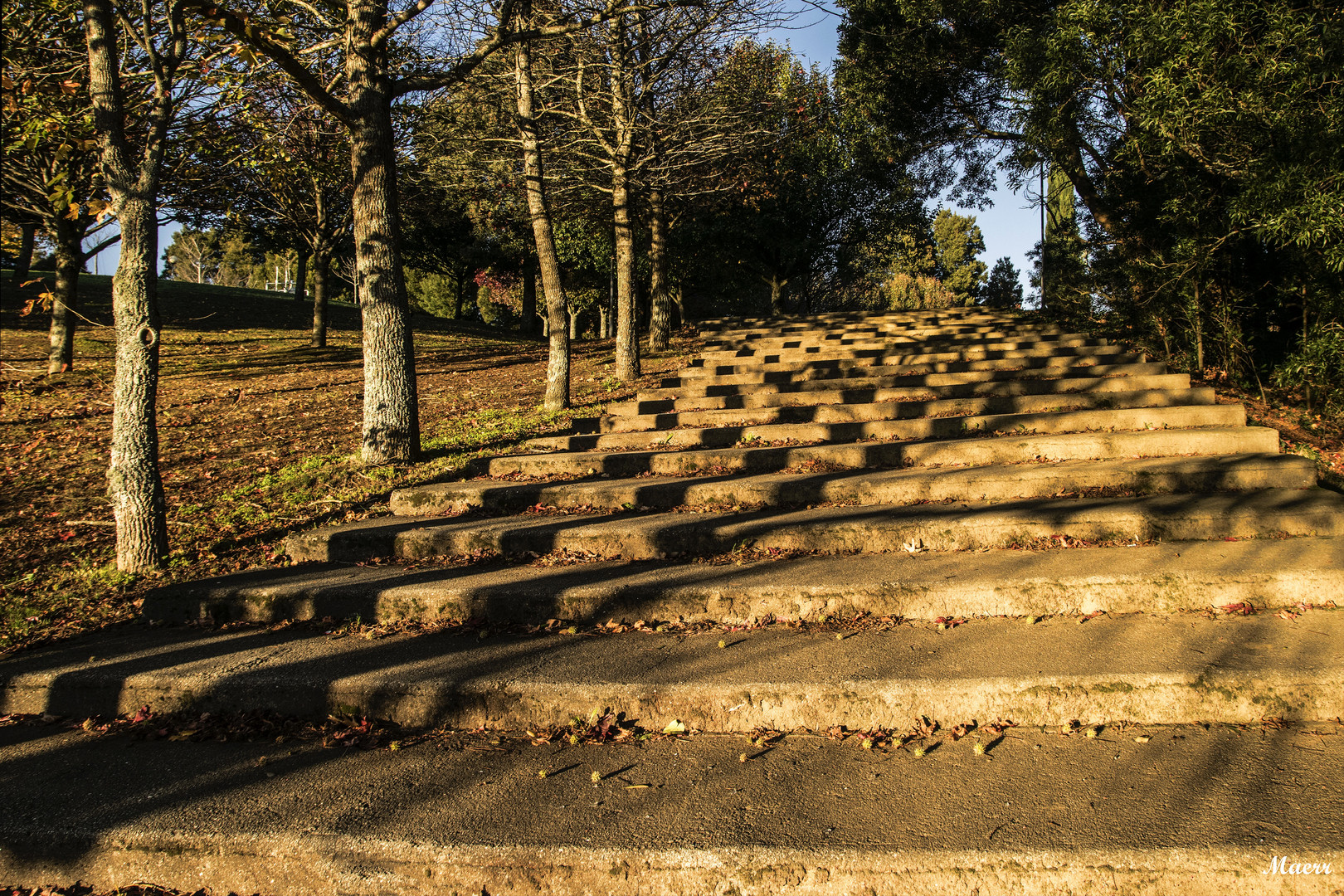 Camino de subida