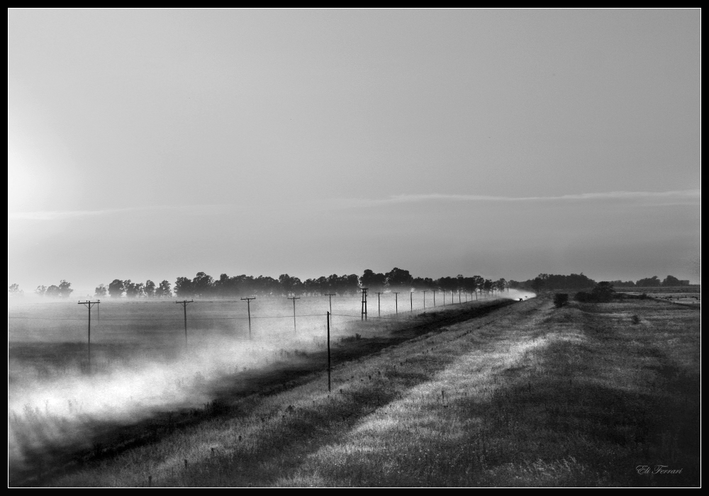 Camino de tierra