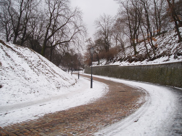 Camino del cementerio (Praga)