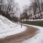 Camino del cementerio (Praga)