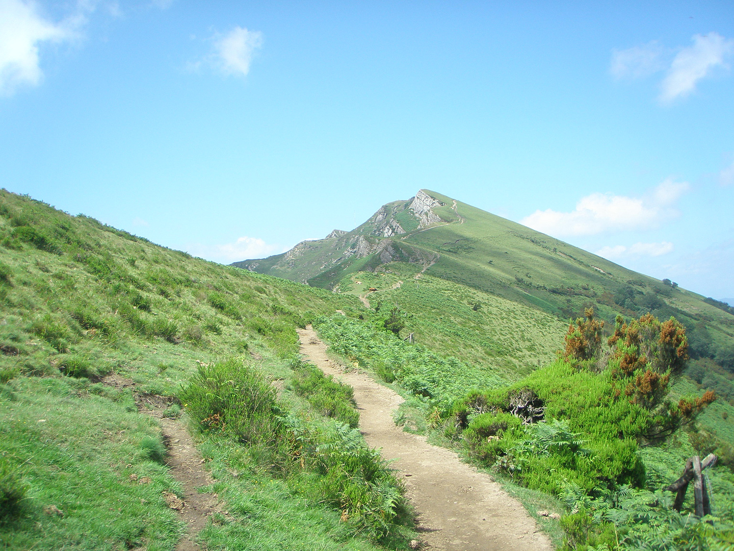 CAMINO DEL GANEKOGORTA