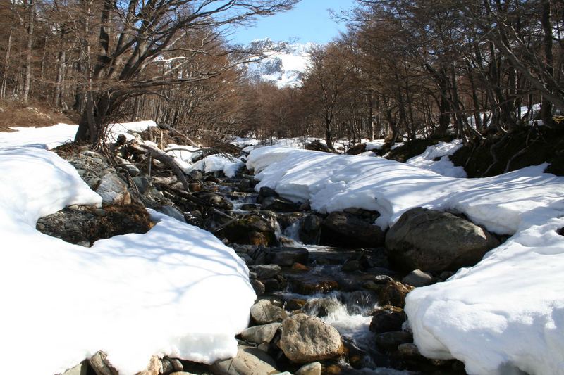 Camino del Glaciar Martial, Ushuaia