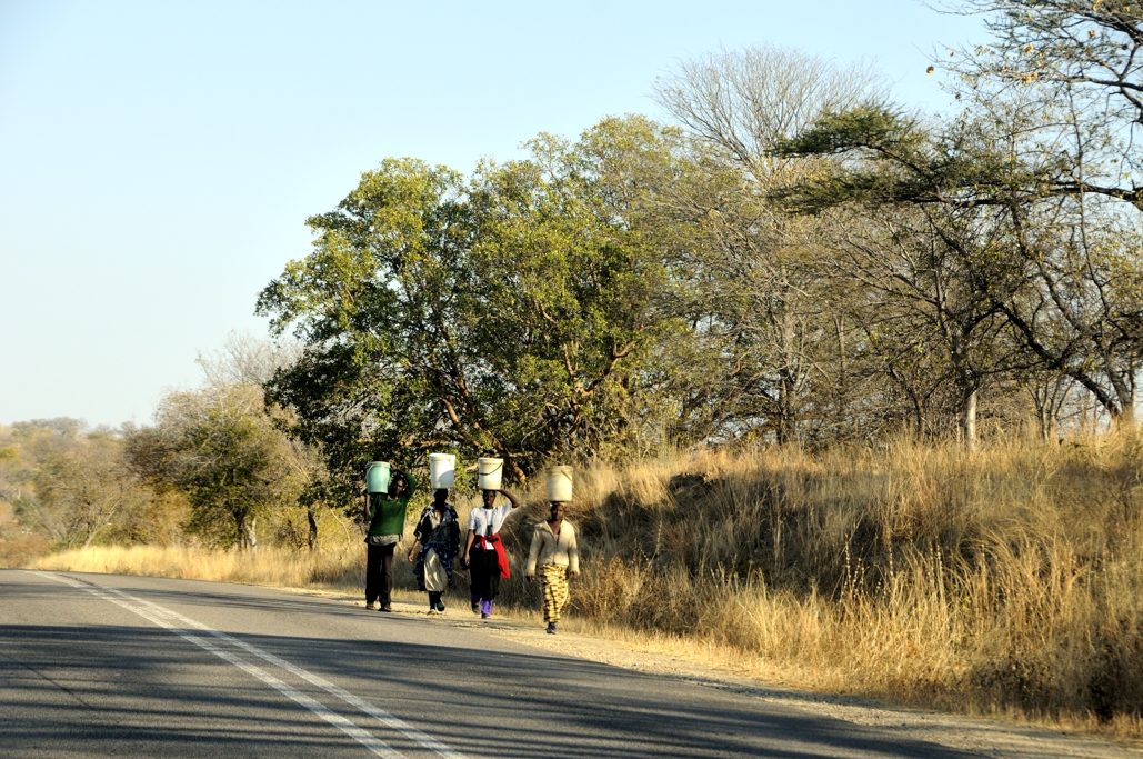 Camino del mercado