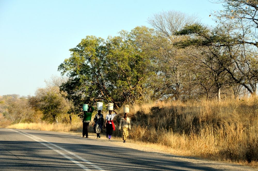 Camino del mercado