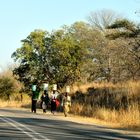 Camino del mercado