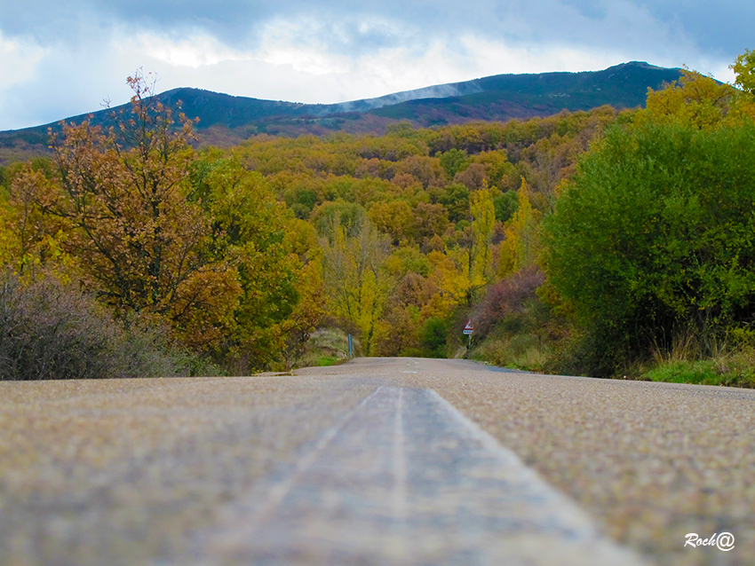 CAMINO DEL OTOÑO