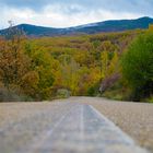 CAMINO DEL OTOÑO